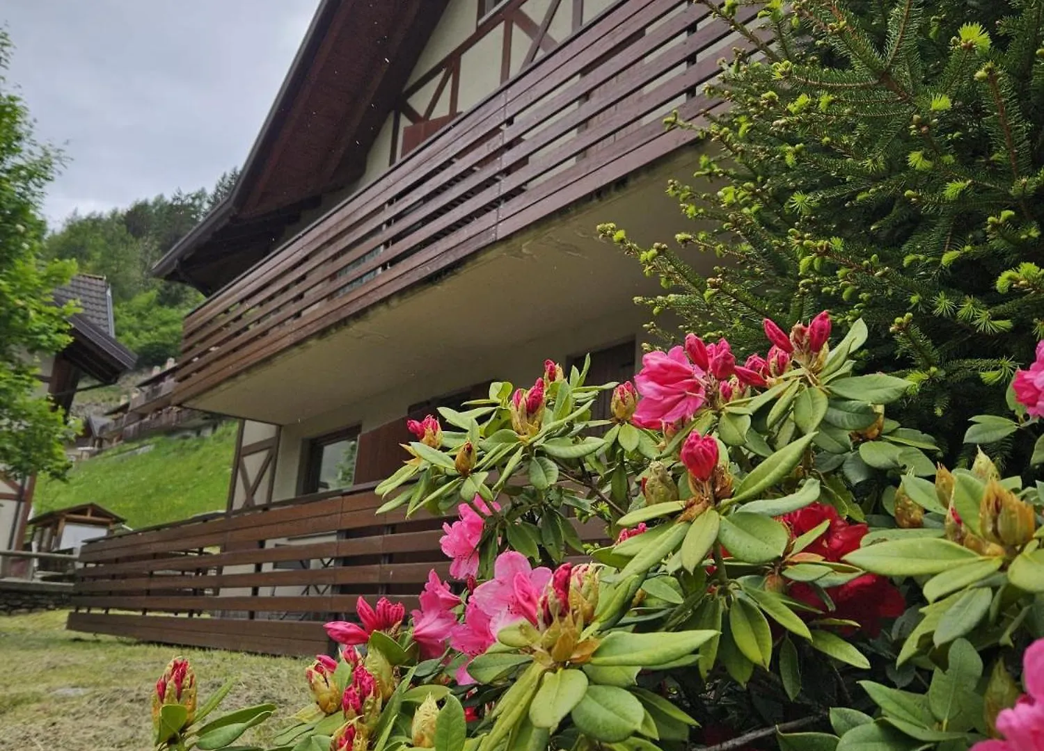 Il Rododendro Apartment Ponte Di Legno 0*,  Italy